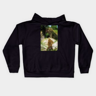 Flowery Bridge with Stream Kids Hoodie